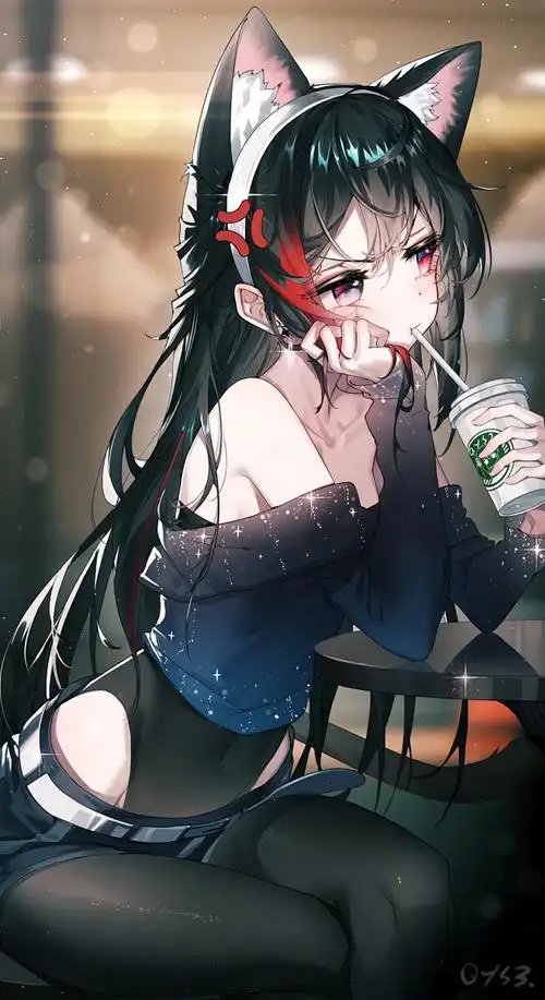 Animeko应用画面
